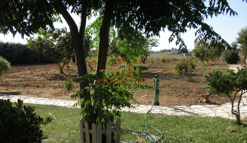Chalet independiente