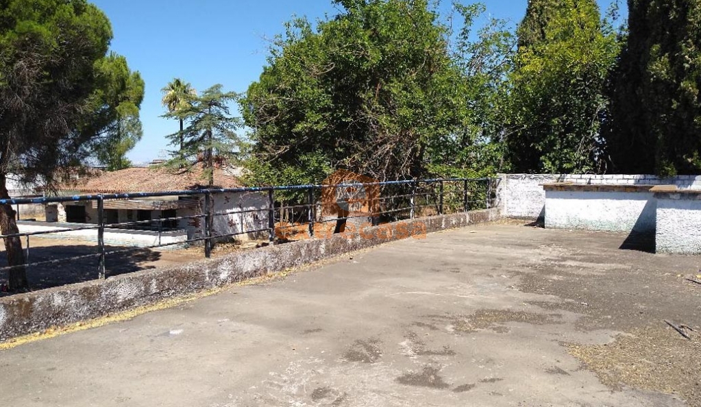Terreno en venta en Carretera de Olivenza