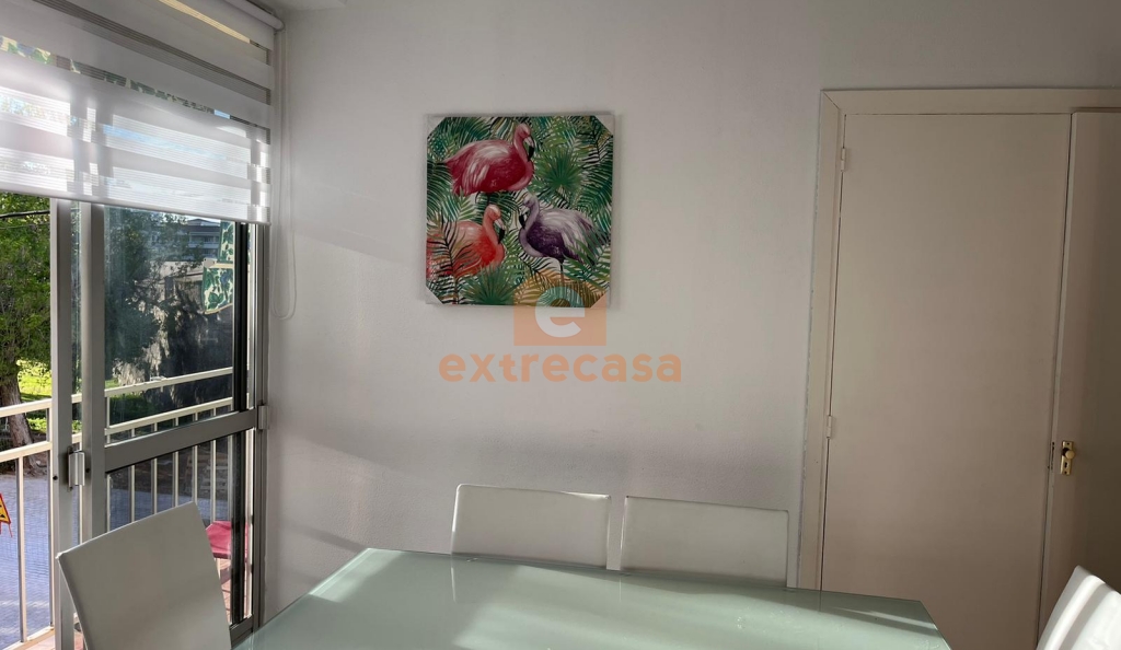 Piso en alquiler en Pardaleras