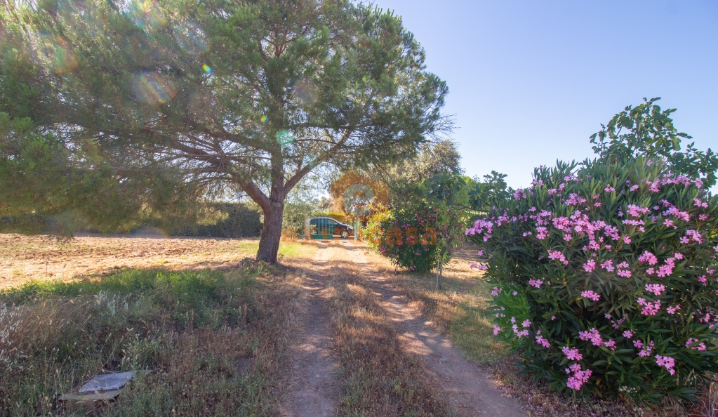 Casa de campo en venta en Río Caya