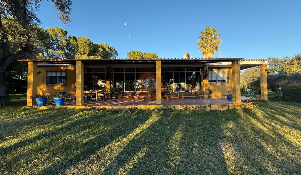 Chalet con parcela de 7.500 metros en Crta. de Sevilla