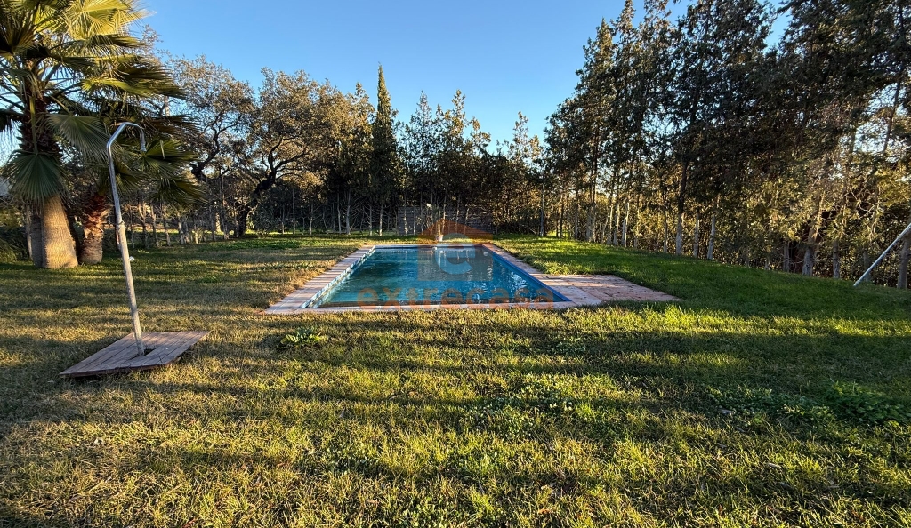Chalet con parcela de 7.500 metros en Crta. de Sevilla