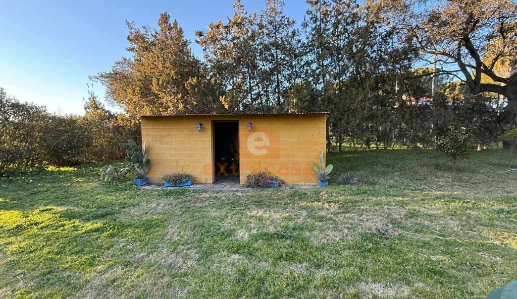 Chalet con parcela de 7.500 metros en Crta. de Sevilla