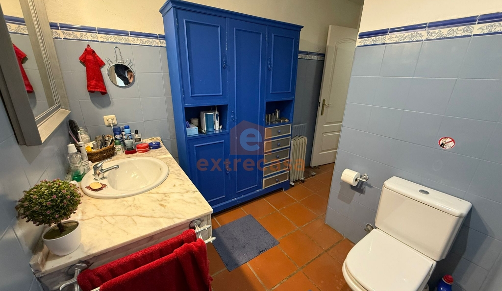 Chalet con parcela de 7.500 metros en Crta. de Sevilla