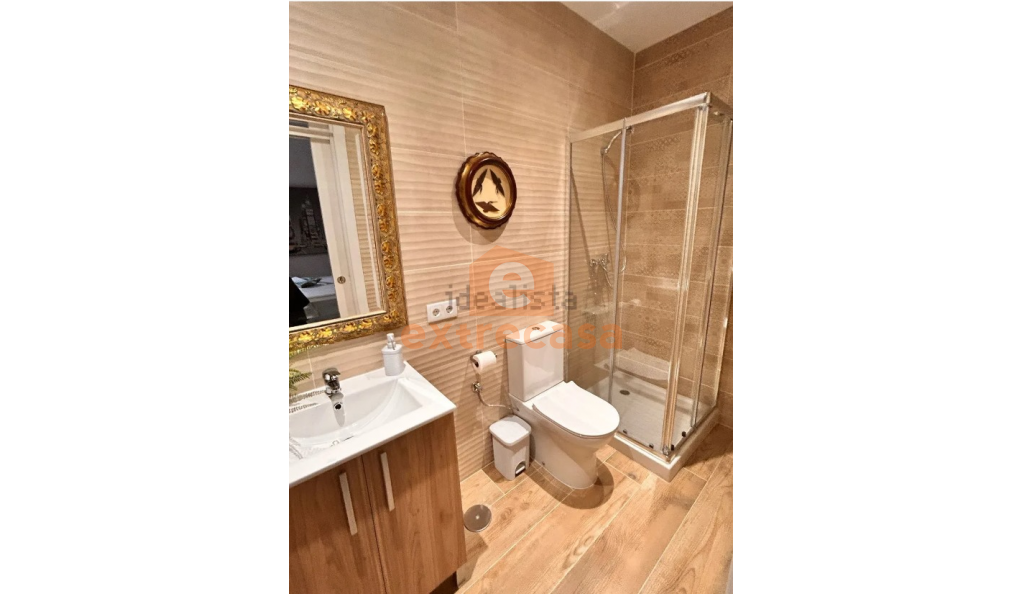 Alquiler de apartamento-Loft en Badajoz