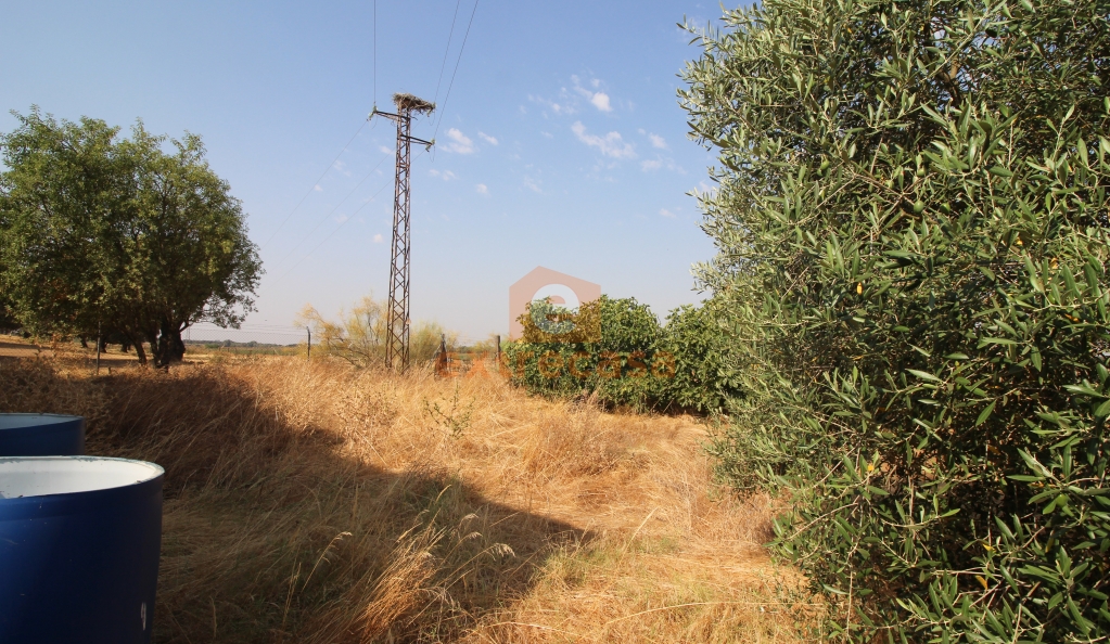 Venta de una parcela con vivienda en Botoa