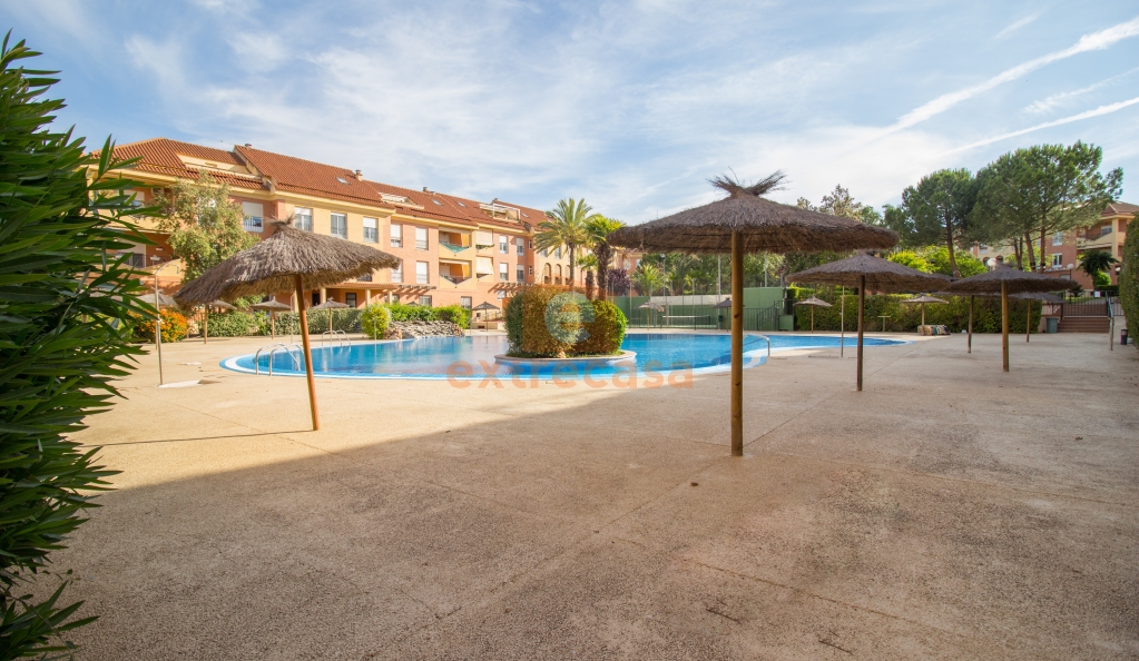 Ático-Dúplex en alquiler en Las Vaguadas