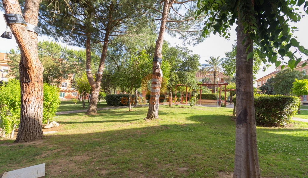 Ático-Dúplex en alquiler en Las Vaguadas