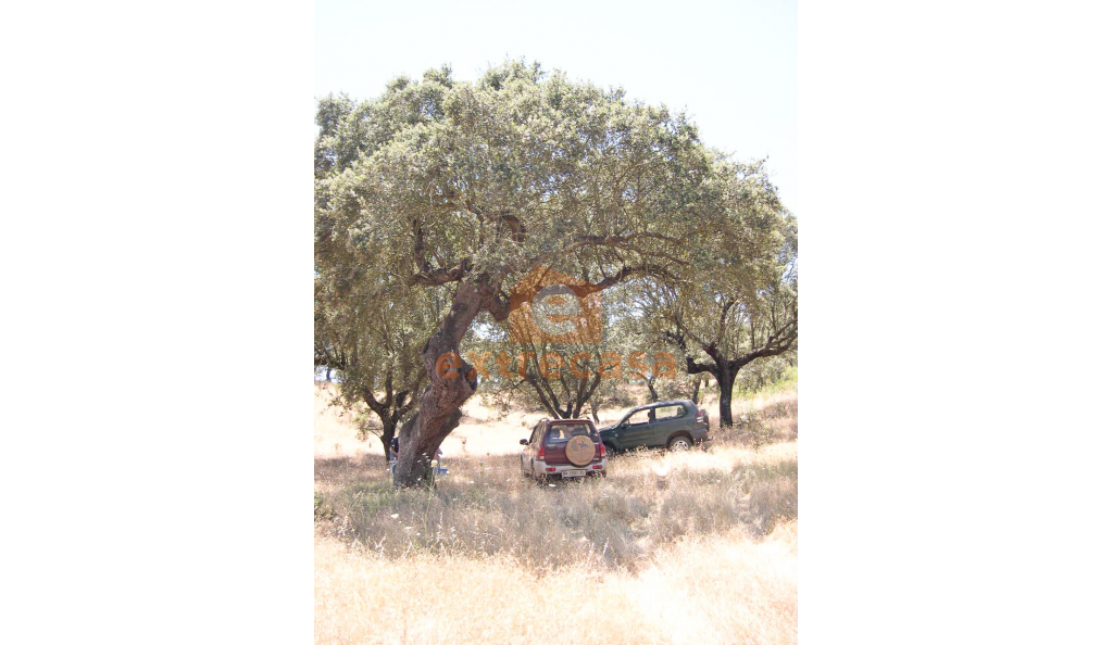 Venta de finca rústica en Juromenha