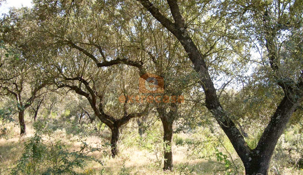 Venta de finca rústica en Juromenha
