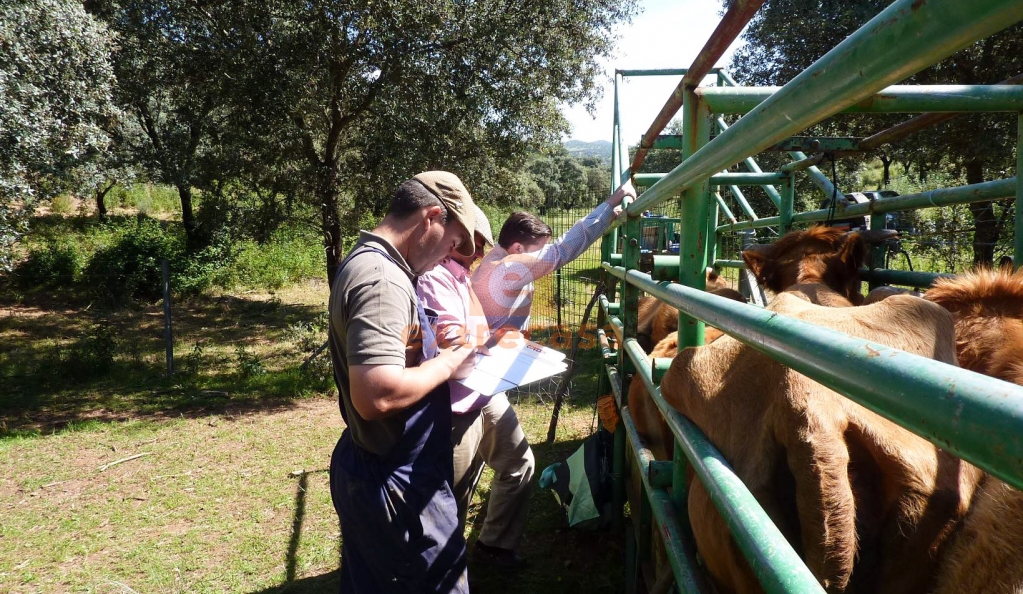 Venta de finca rústica en Juromenha