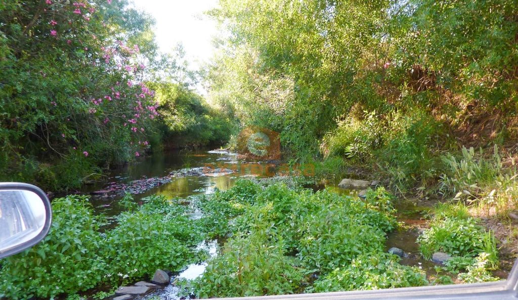 Venta de finca rústica en Juromenha
