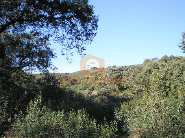 Venta de finca rústica en Juromenha