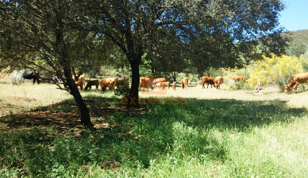 Venta de finca rústica en Juromenha